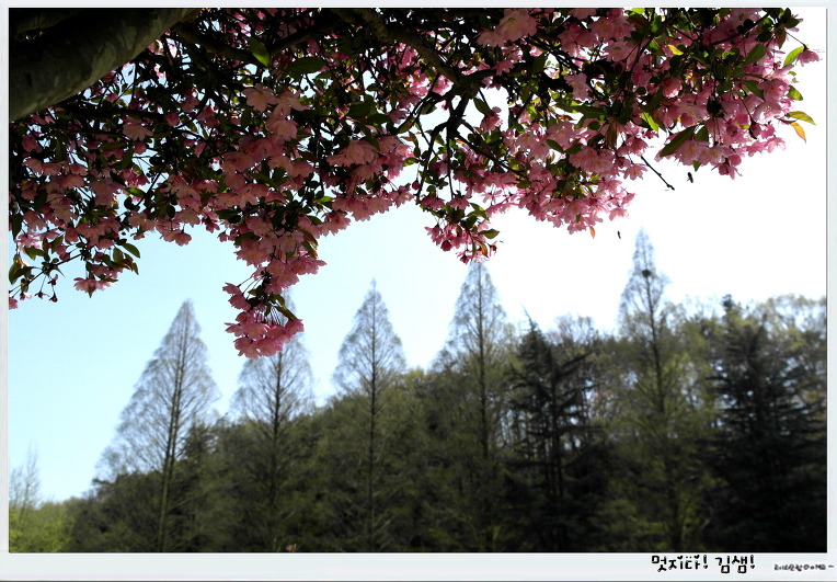 나도 위선의 선생일까?