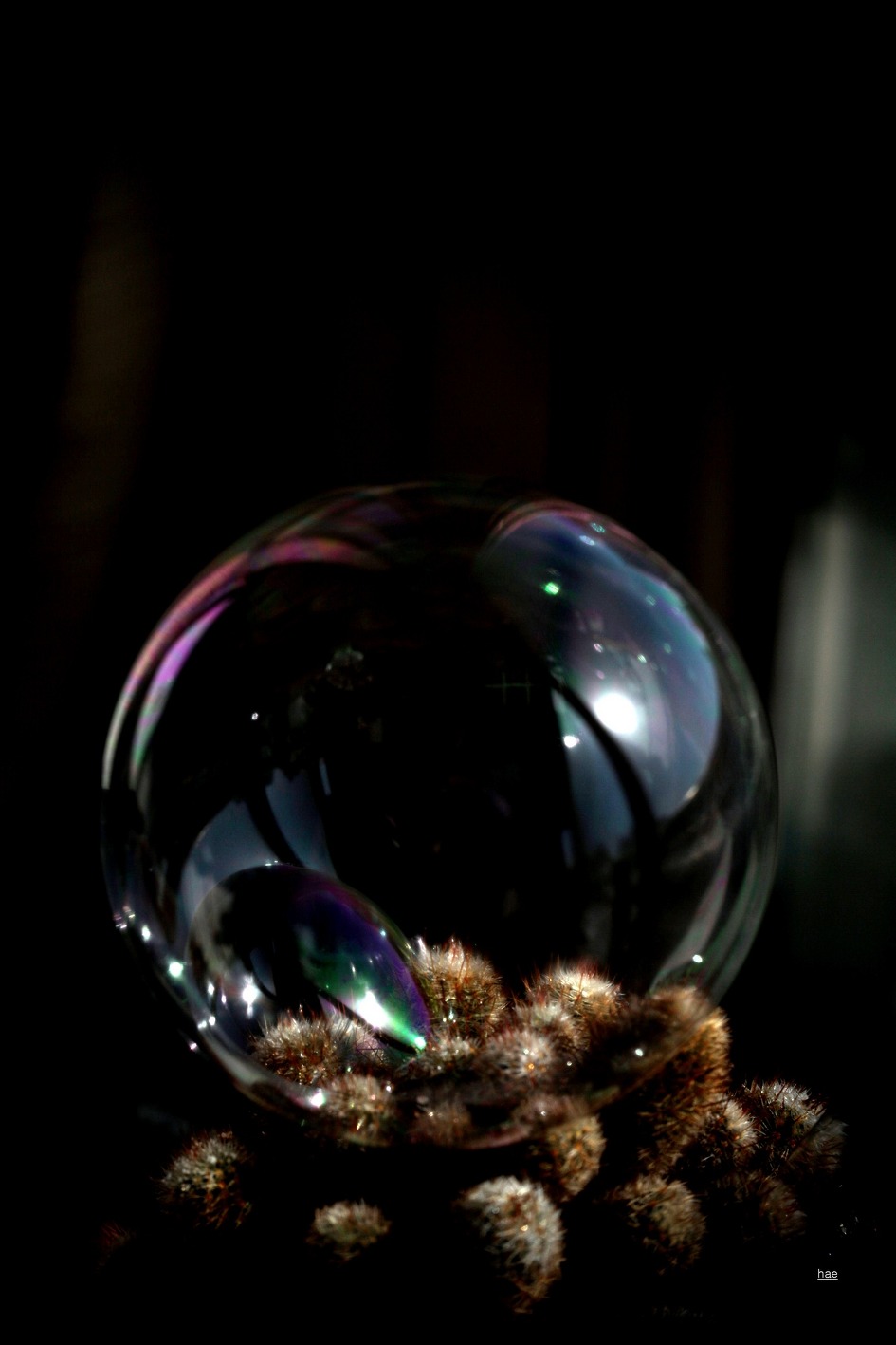 비누방울 5 -어두움을 바꾸는 빛