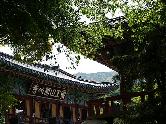 반야다원 이미지