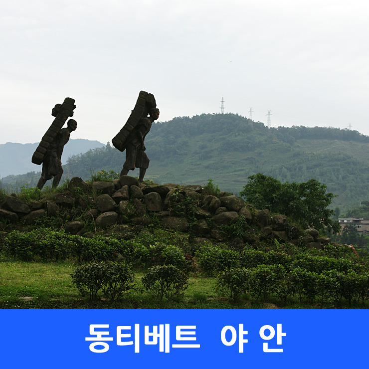 고난의 길, 동티벳 2 - 성도에서 단빠 까지