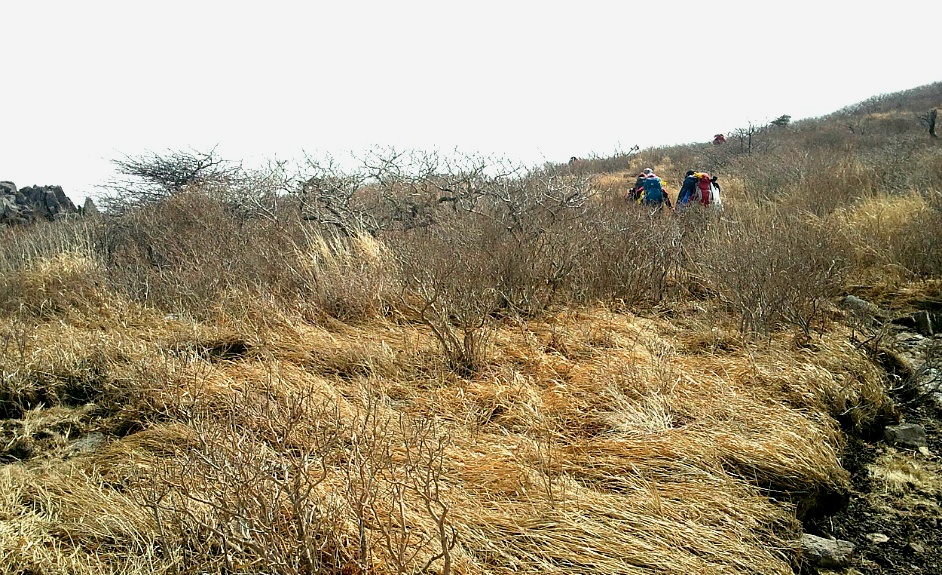 영남알프스 2 -영화같은 하늘 억새길 /신불산,영축산 종주/2013.3.16