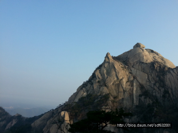 山에서 - 나희덕