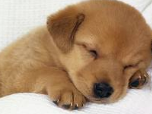 263BED5053015BF32744C5