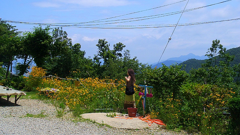 263CF739521088301E9598