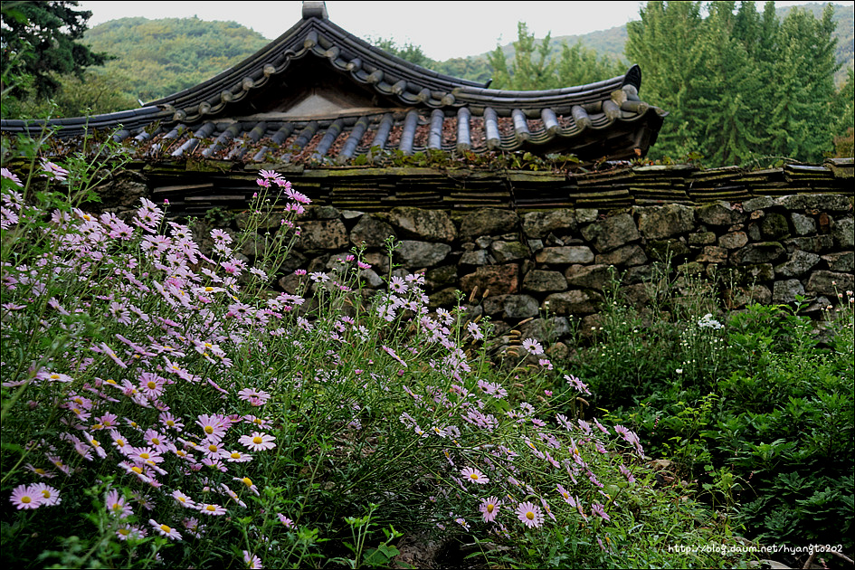 천도교 수도회 제4차 수련 (2편) 이미지