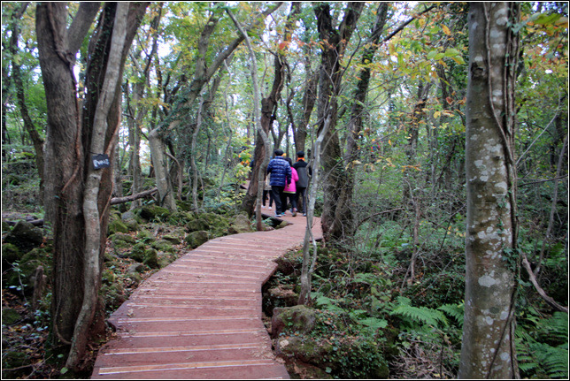 265A5E375459BE0427FF46