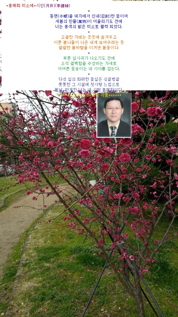 블로그 이미지