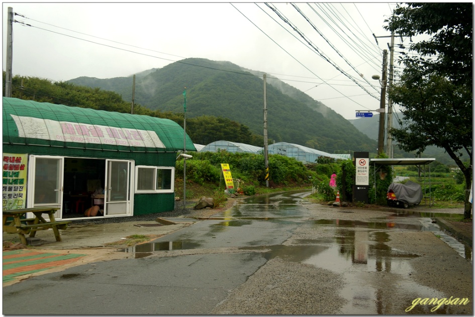 산행 한번 하기 정말 힘들다~/무장봉 산행이 무산되고 소금강산으로~