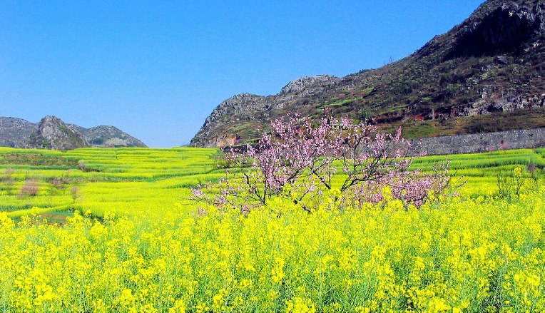 271ECE4952A50DFF1E4B27