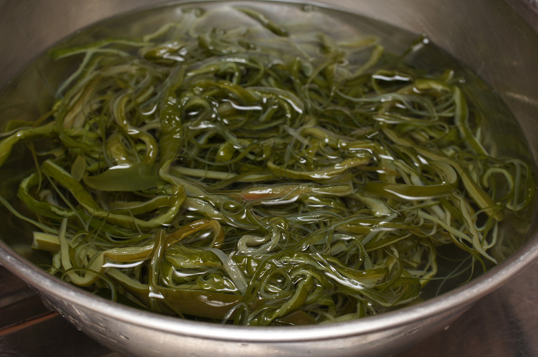 점심도시락