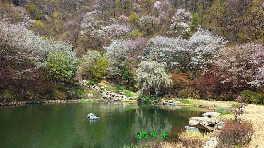봄풍경