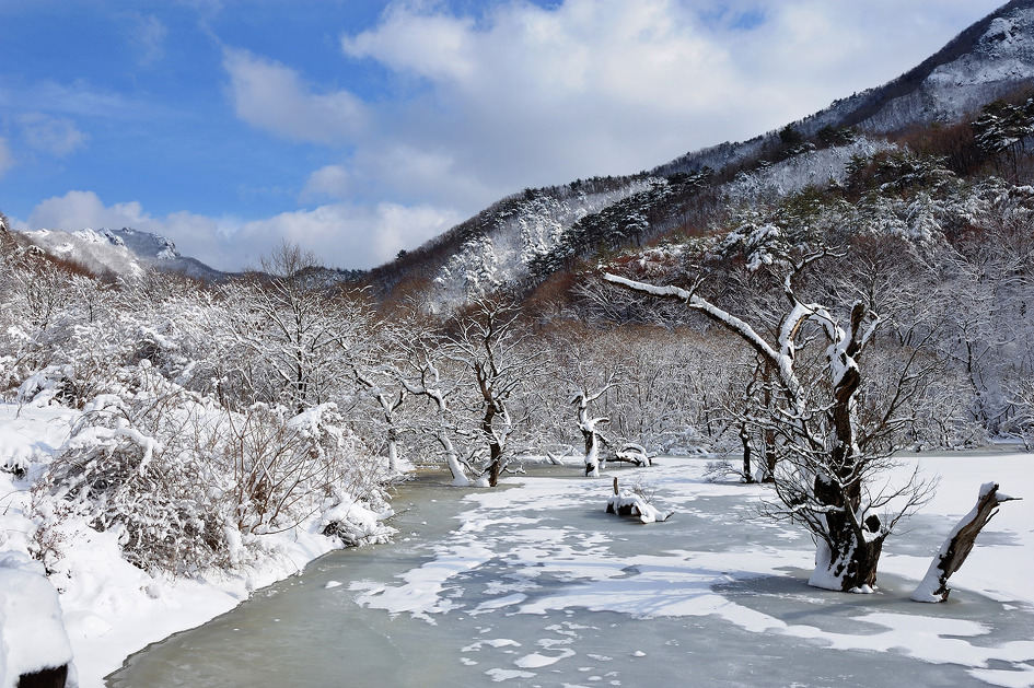 제5회 청송 주산지 관광사진 전국공모전 