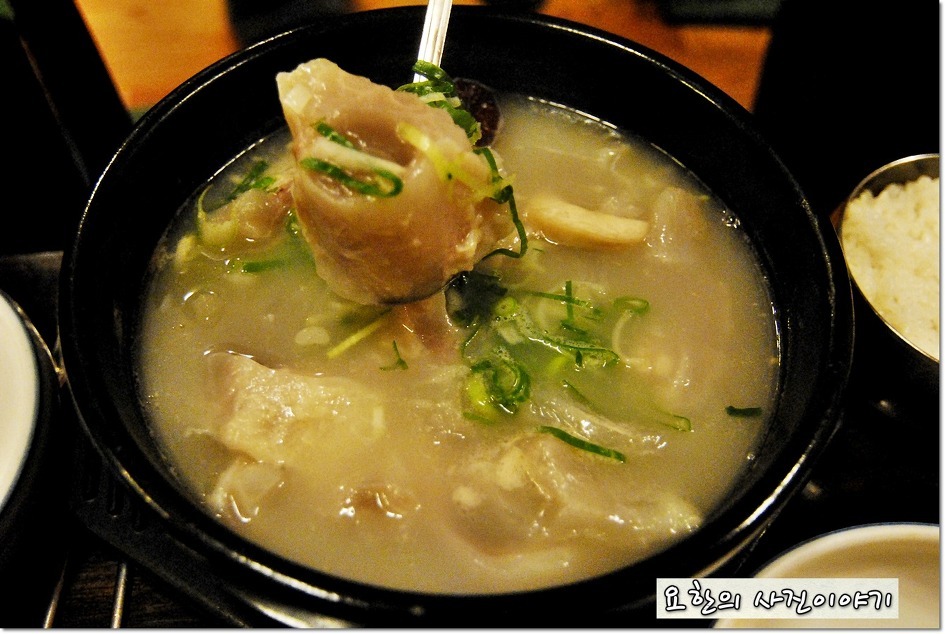 제주 아랑조을거리 추천맛집 best 7  [제주도 서귀포맛집]