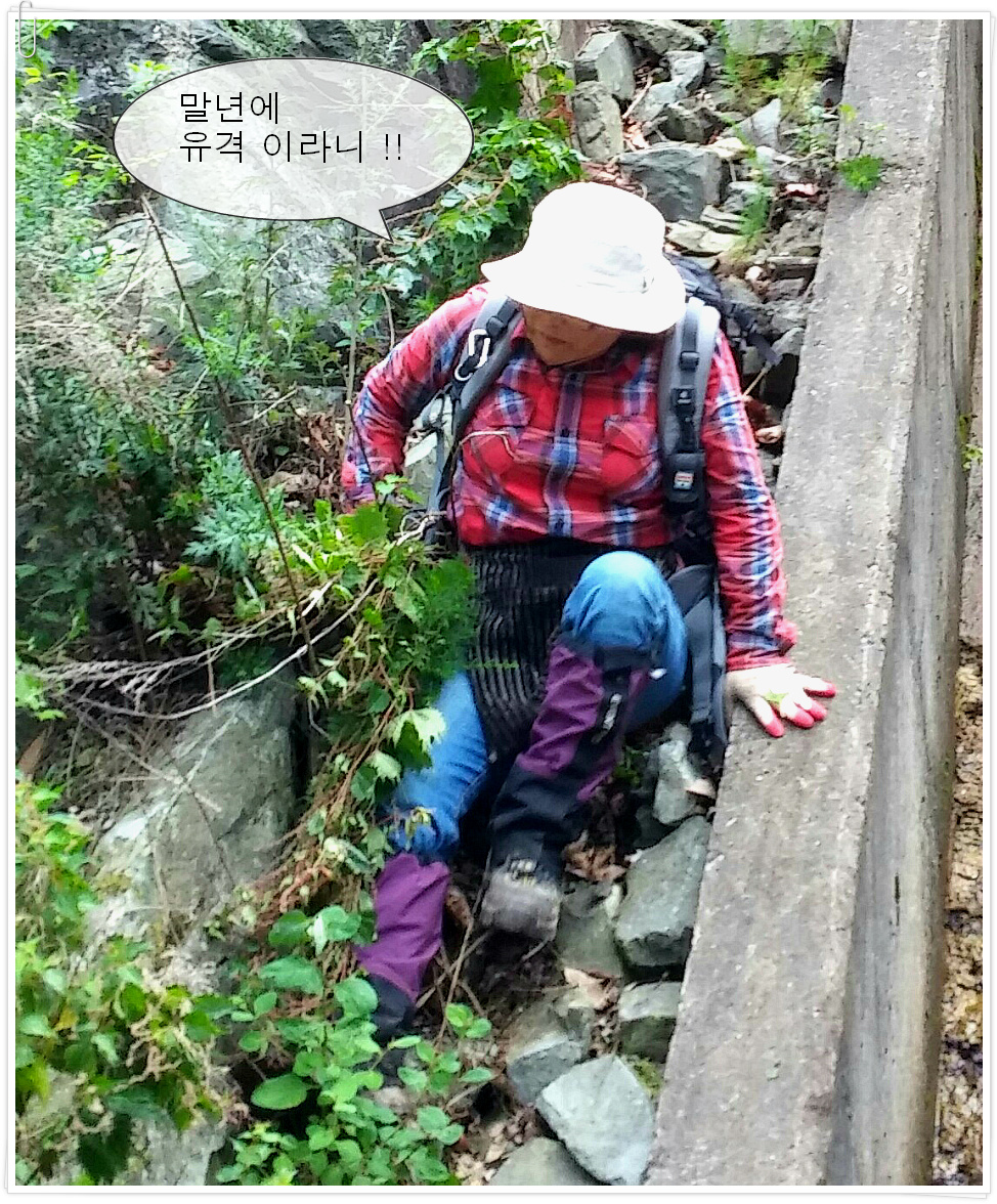 심마니 이미지