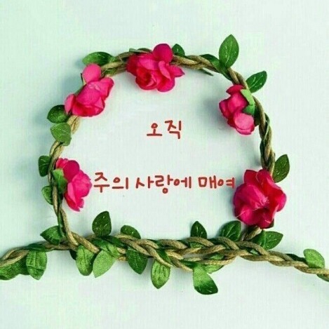 2019 년  3 월 15 일  