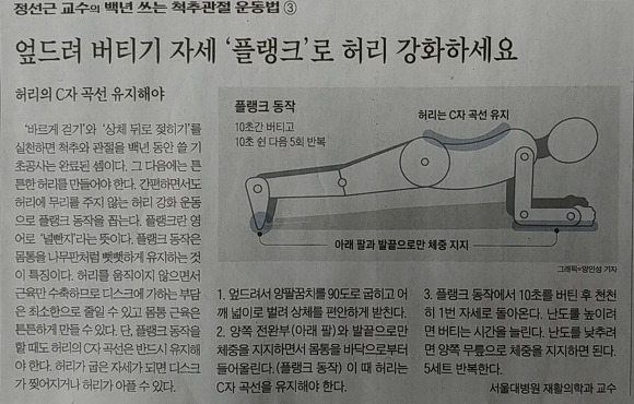 실내에서 간단하게 하는 운동 법 ... 플랭크
