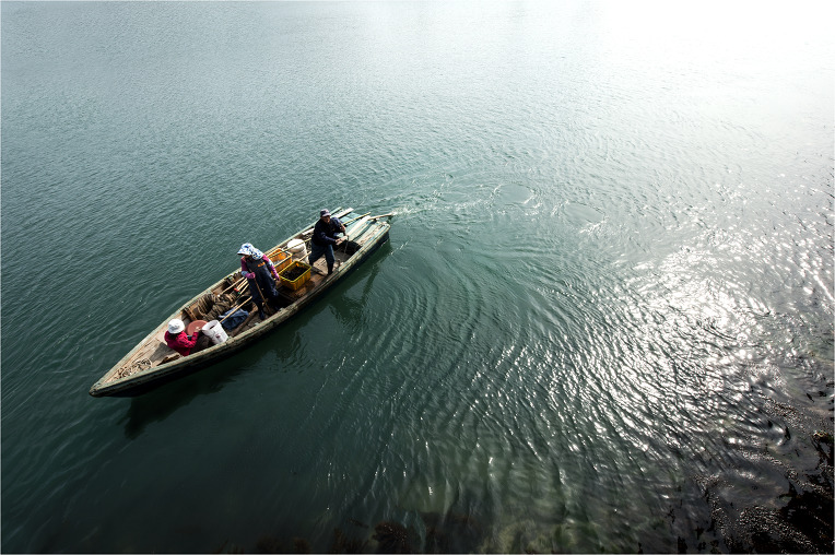 a homeward voyage