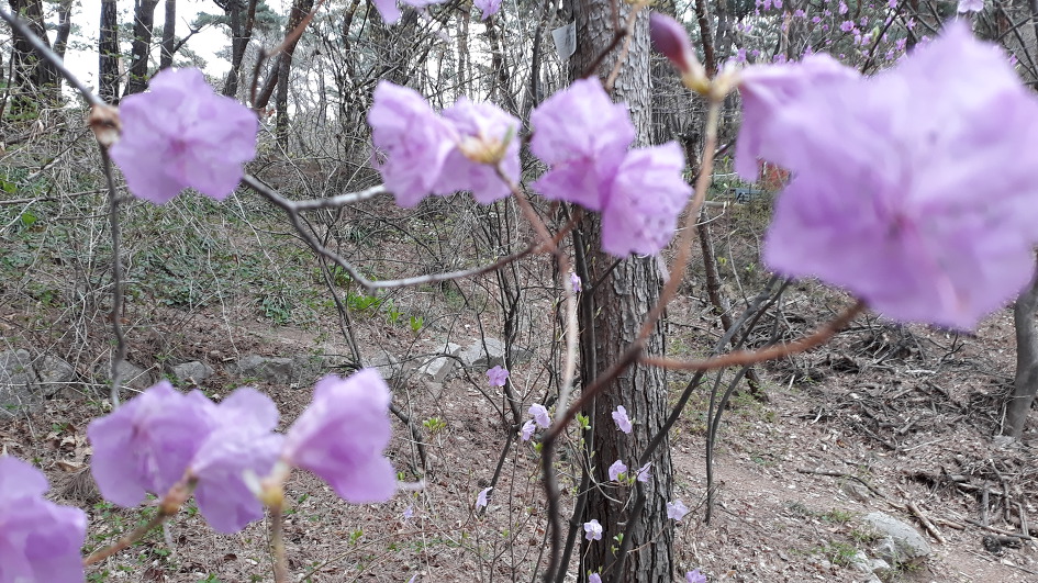 아차산 산행과 시산제(4/6)