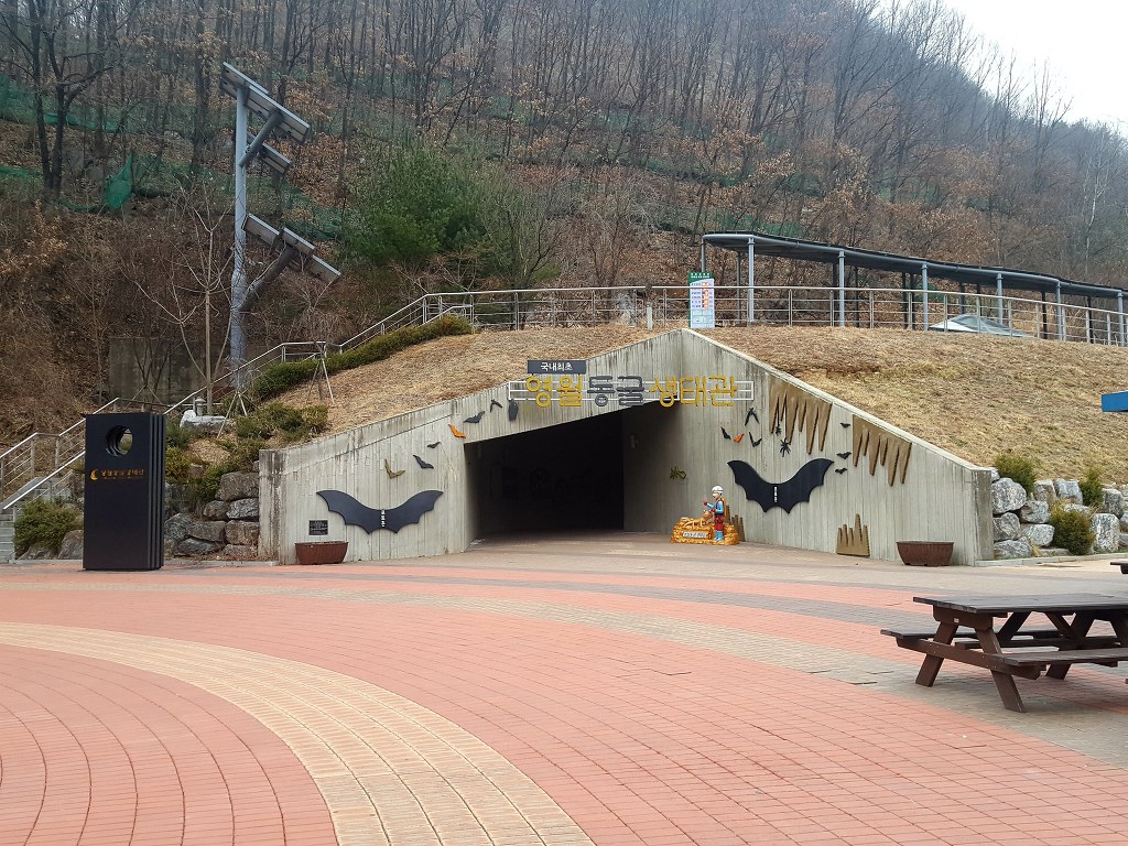 강원도 영월 맛집 특산물 칡으로 끓여내는 고씨굴 강원토속식당 칡국수 감자전 여행