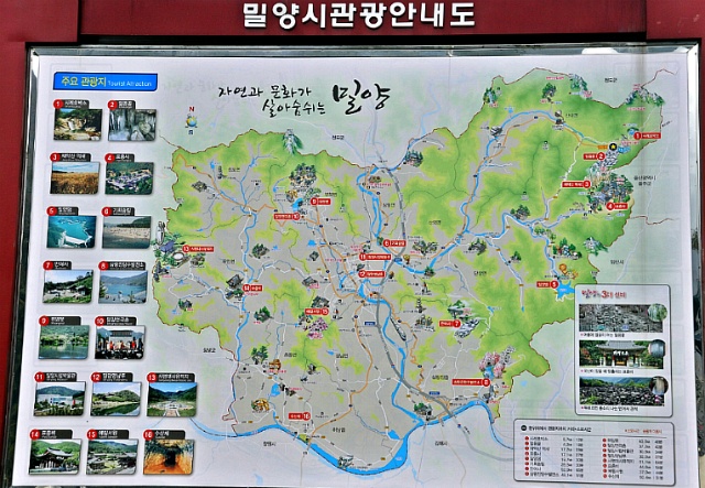 얼음골천마 이미지