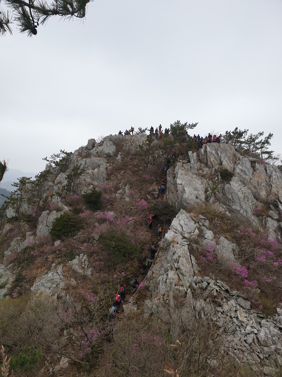 덕룡산2019,4,7)