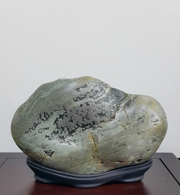 청록산에 양때들 !!!