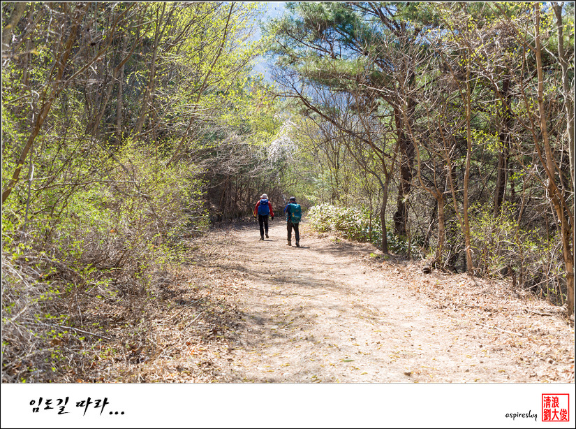 2019.03.31 백두대간 웅석봉에서 조망에 취한 날