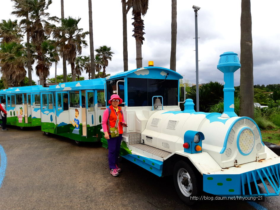 제주올레 길에서 - 여미지 식물원, 천재연 폭포 관람...