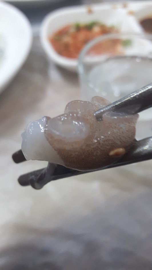  ( 2019 - 제 24호 )  부산 동래구 맛집 [ 일만오천횟집의 돌솥밥 상차림과 봄도다리회 ]