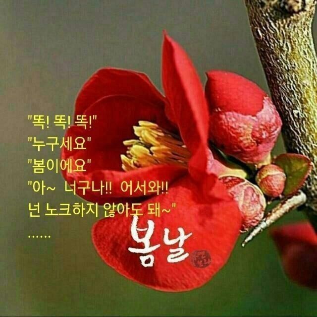 99766C475C6ACAC10D0DDD