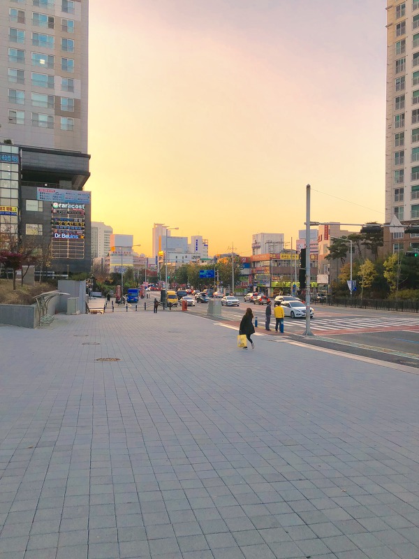 도시의 노을