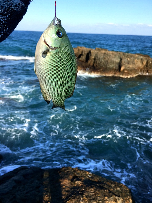 참 바쁘게 움직였던 1박2일간의 기록...