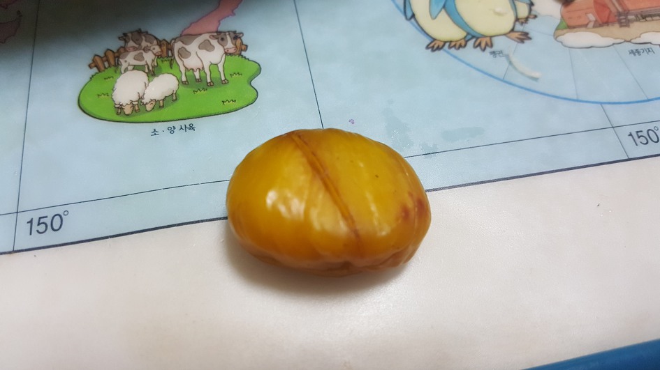 군밤을 만들어 보았어요....^^