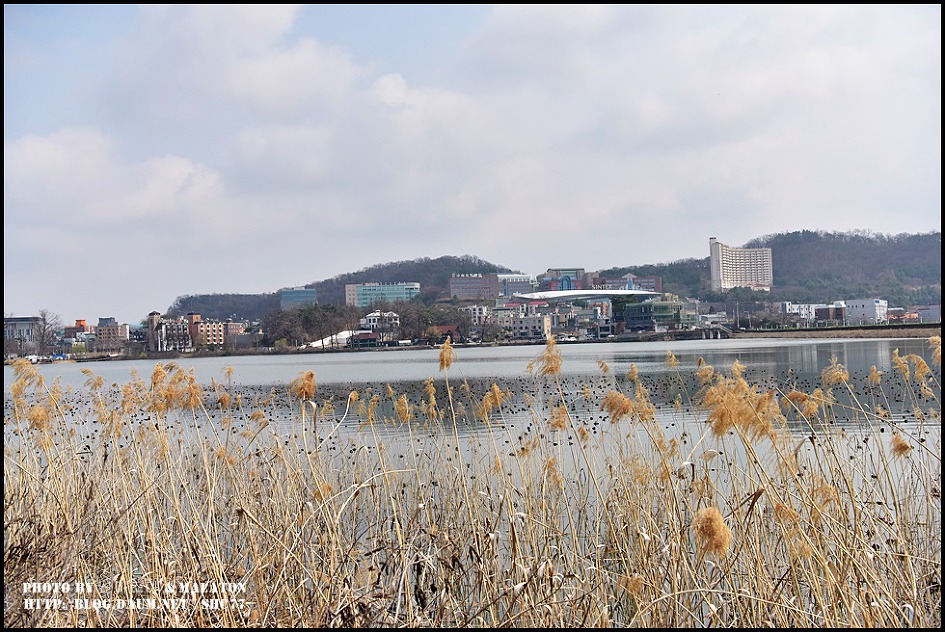 [경기화성] 보통리 저수지 산책로 풍경!