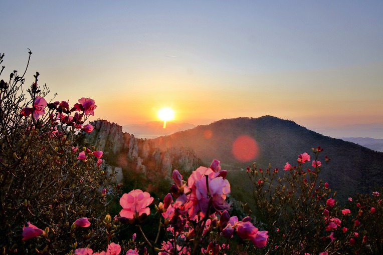 주작산 (전남 강진)