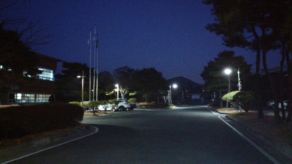 삶