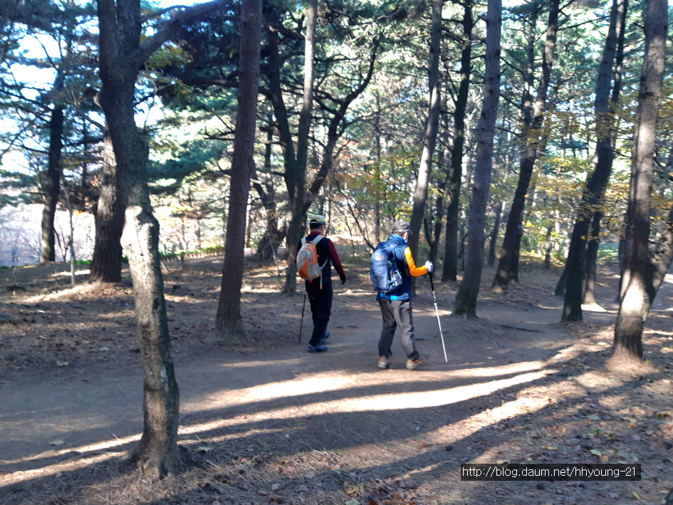부산 사하구 다대동 아미산(234.1m) 둘레길에서....