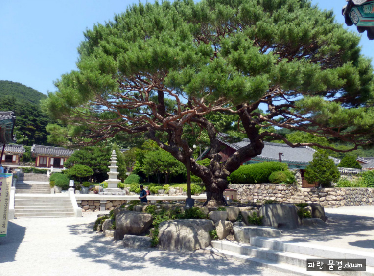 포항 보경사 가족 나들이