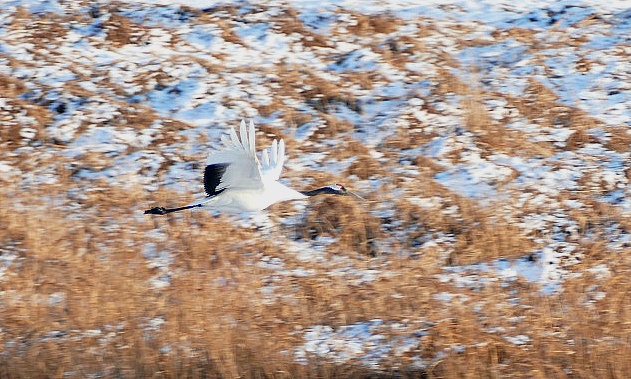 99A1F93F5DF4F1C61DCCA1