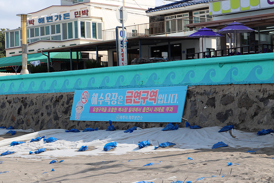 제주도 일상 4월 여행지 이호테우해수욕장