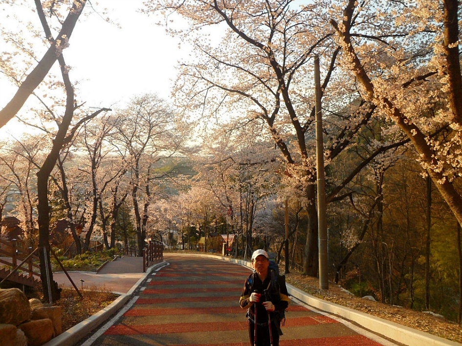 창녕 영취산 2019-03-31