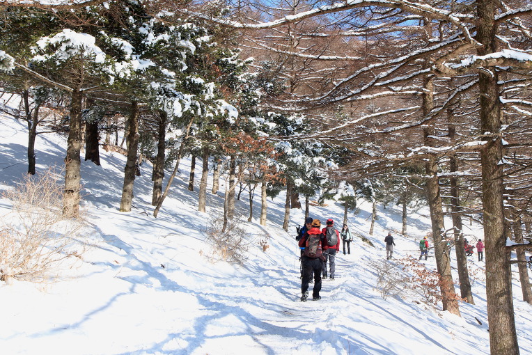 * 지리산 바래봉 눈꽃 산행기 