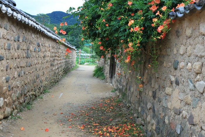 능소화/전영관