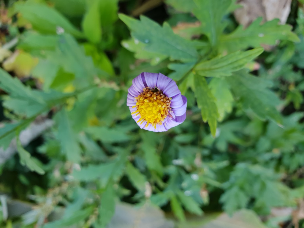 가을한잔 주세요~