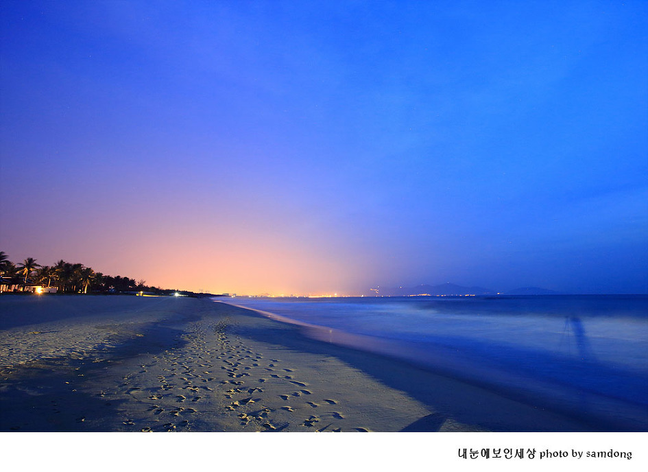 해변의 길손