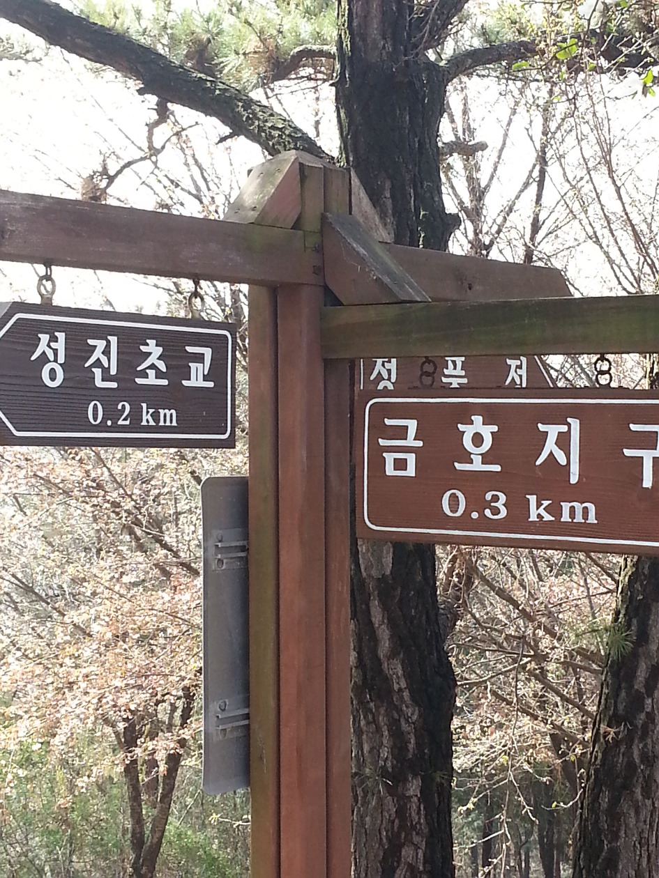 중앙공원