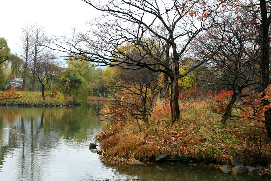 가을은 참이쁘다....만추의 가을