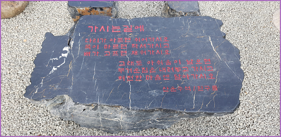 돌배 