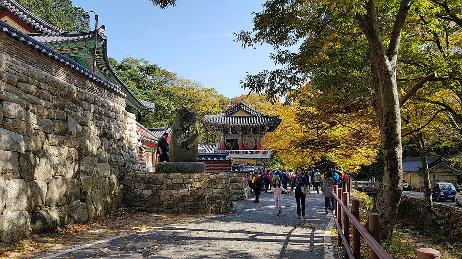 계룡산의 가을 정취에 빠져들다.