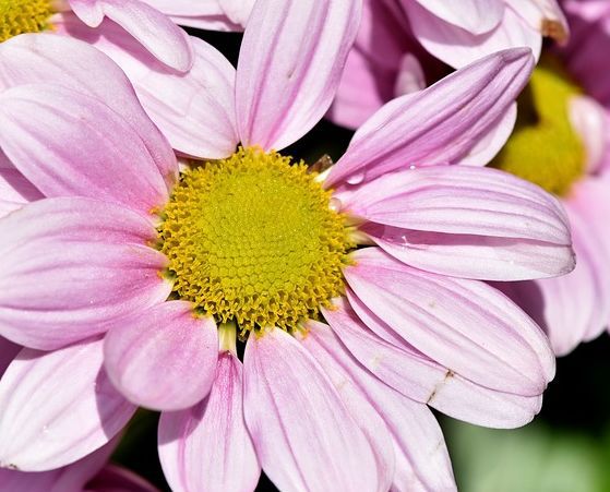 충주개인회생 가족걱정없이 준비